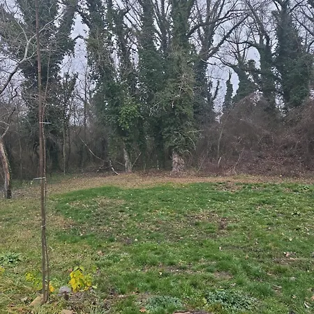 Vikendica Kendjija, Splav Cunamiii Sombor