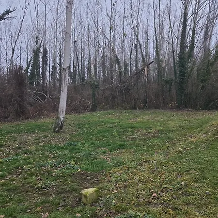 Vikendica Kendjija, Splav Cunamiii Tekne Sombor