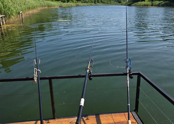 Vikendica Kendjija, Splav Cunamiii * Sombor