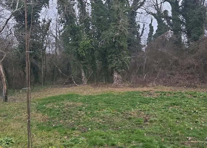 Vikendica Kendjija, Splav Cunamiii Sombor